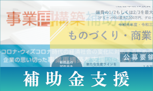 補助金支援